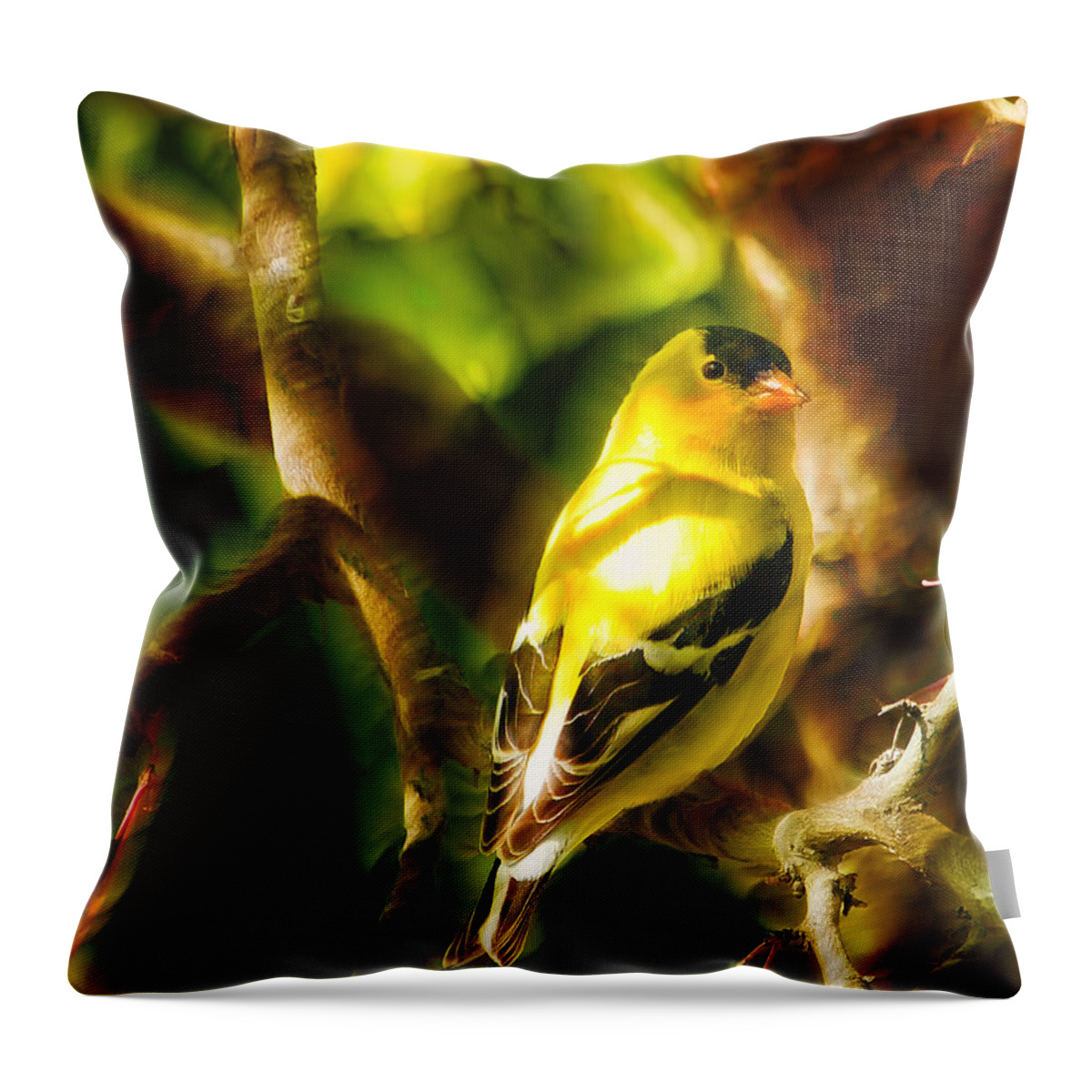 Bird Throw Pillow featuring the photograph Visions of a Male Goldfinch by Bill and Linda Tiepelman
