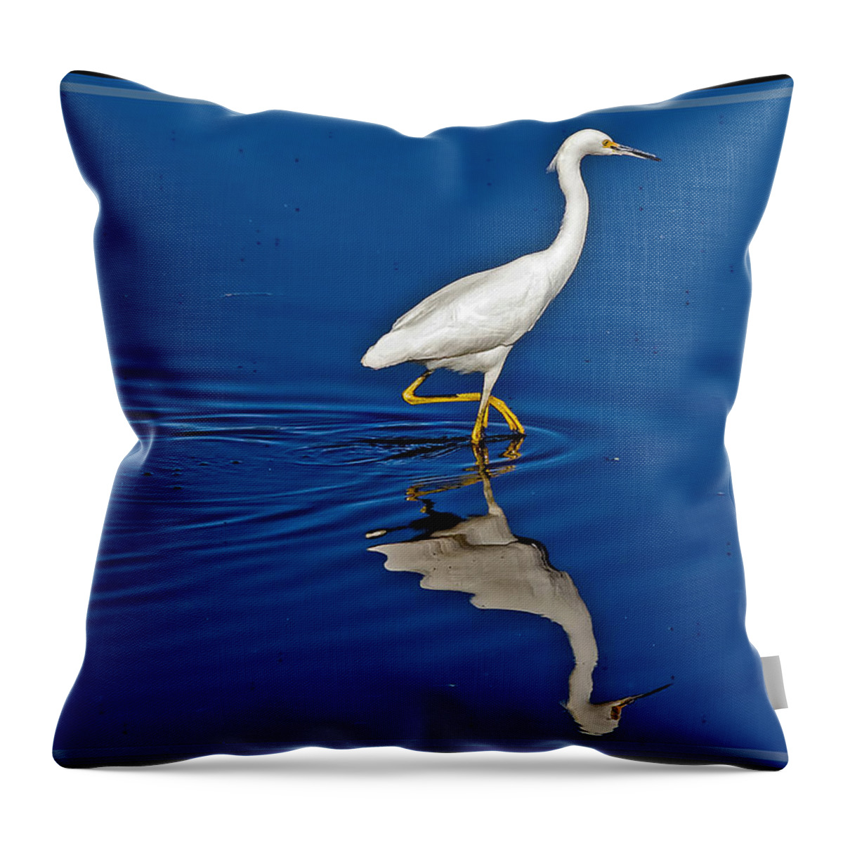 Egret Throw Pillow featuring the photograph Walking Egret by Farol Tomson
