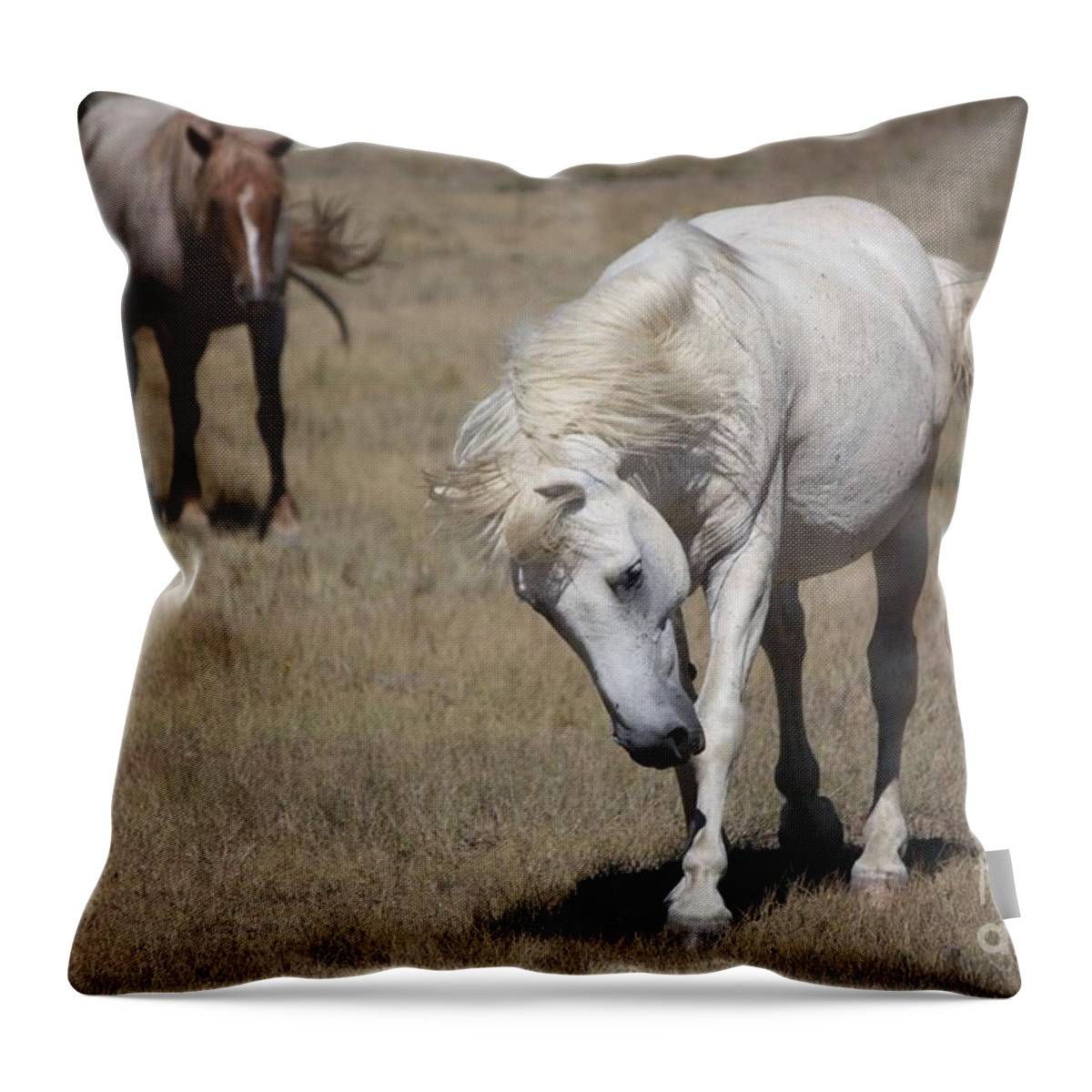 Horses Throw Pillow featuring the photograph Wanderer - Monero Mustangs Sanctuary by Veronica Batterson