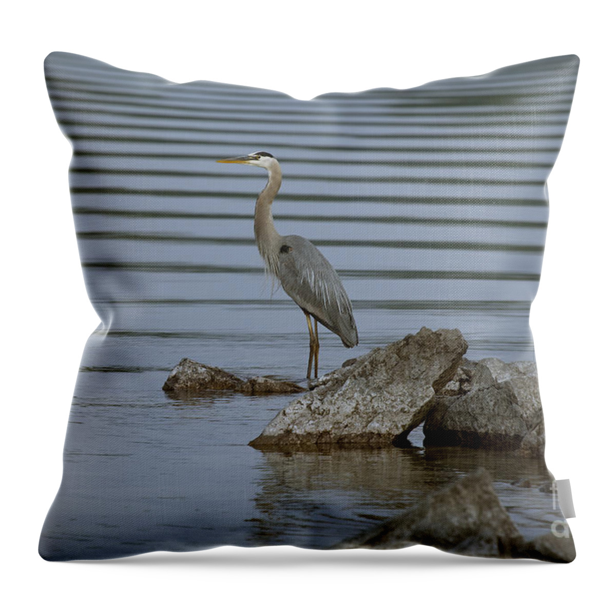 Heron Throw Pillow featuring the photograph Watchful by Eunice Gibb