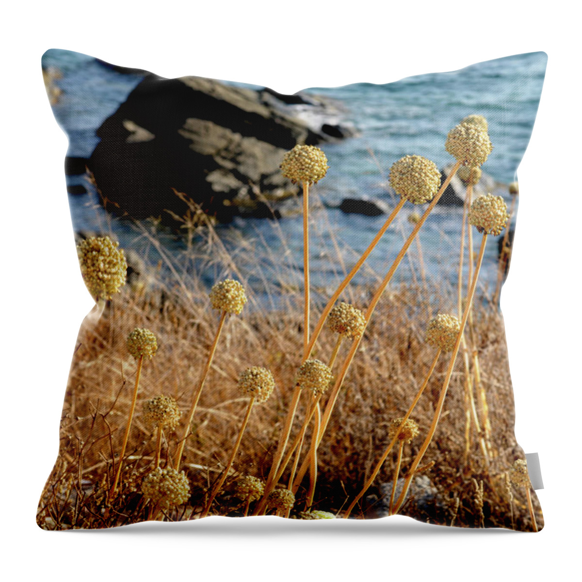 Blue Throw Pillow featuring the photograph Watching The Sea 2 by Pedro Cardona Llambias