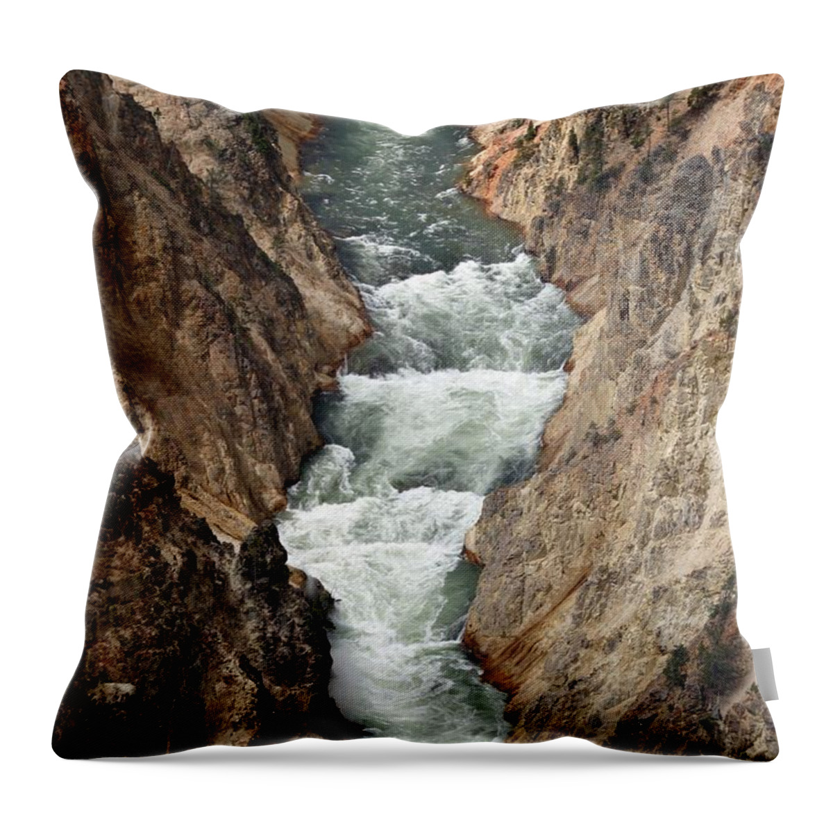Lower Falls Throw Pillow featuring the photograph Water and Rock by Living Color Photography Lorraine Lynch