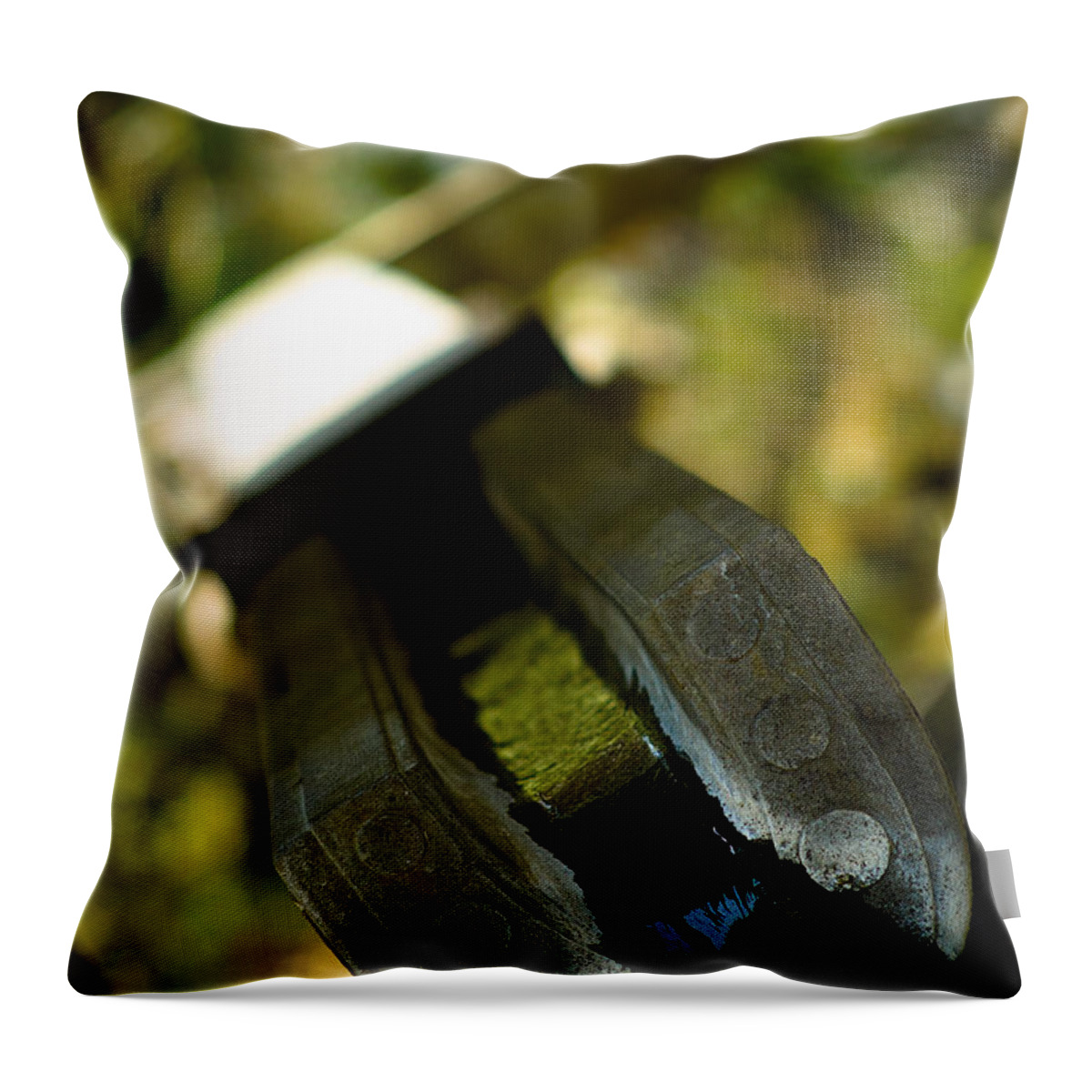 Japan Throw Pillow featuring the photograph Water Aqueduct by Sebastian Musial