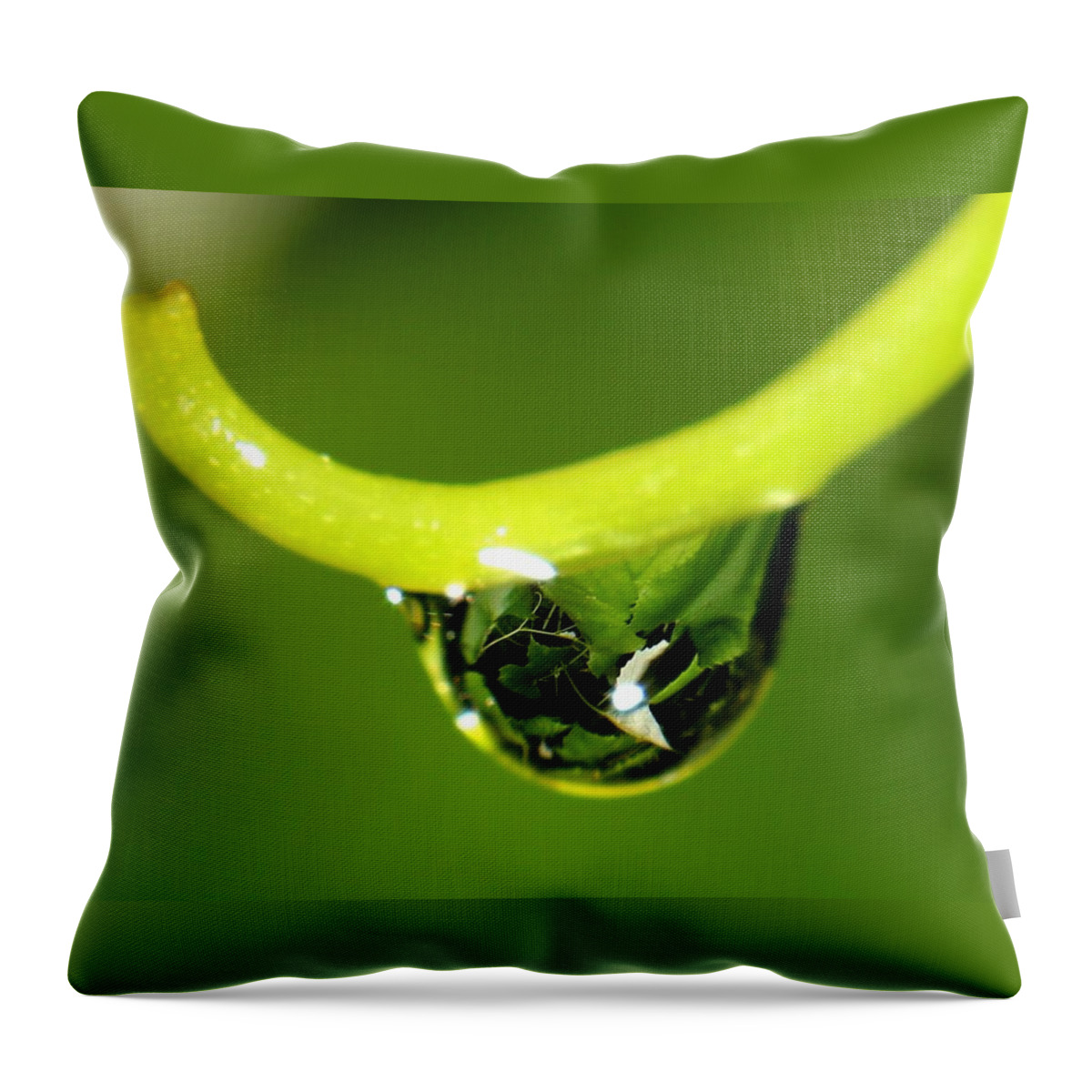 Nature Throw Pillow featuring the photograph Water Droplet on Grapevine by Robert Morin