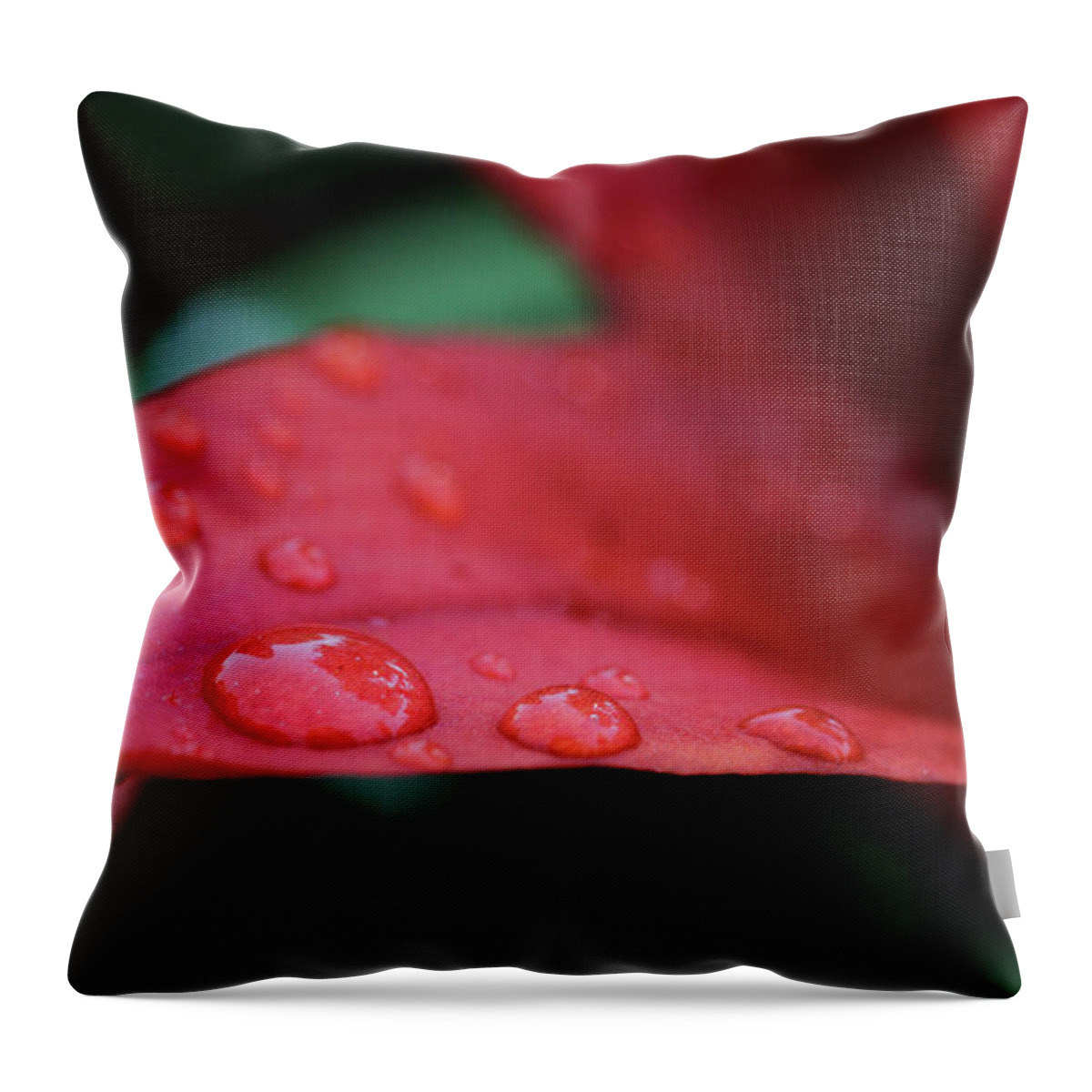 Water Drops Throw Pillow featuring the photograph Water Drops I by Rick Berk