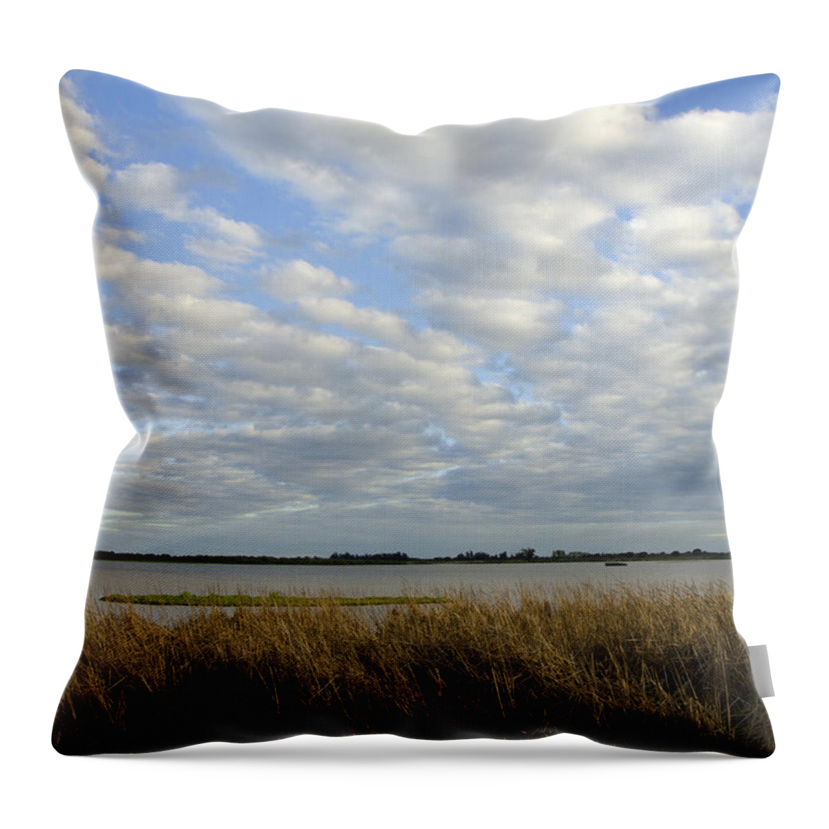Nature Throw Pillow featuring the photograph Water landscape by Perry Van Munster