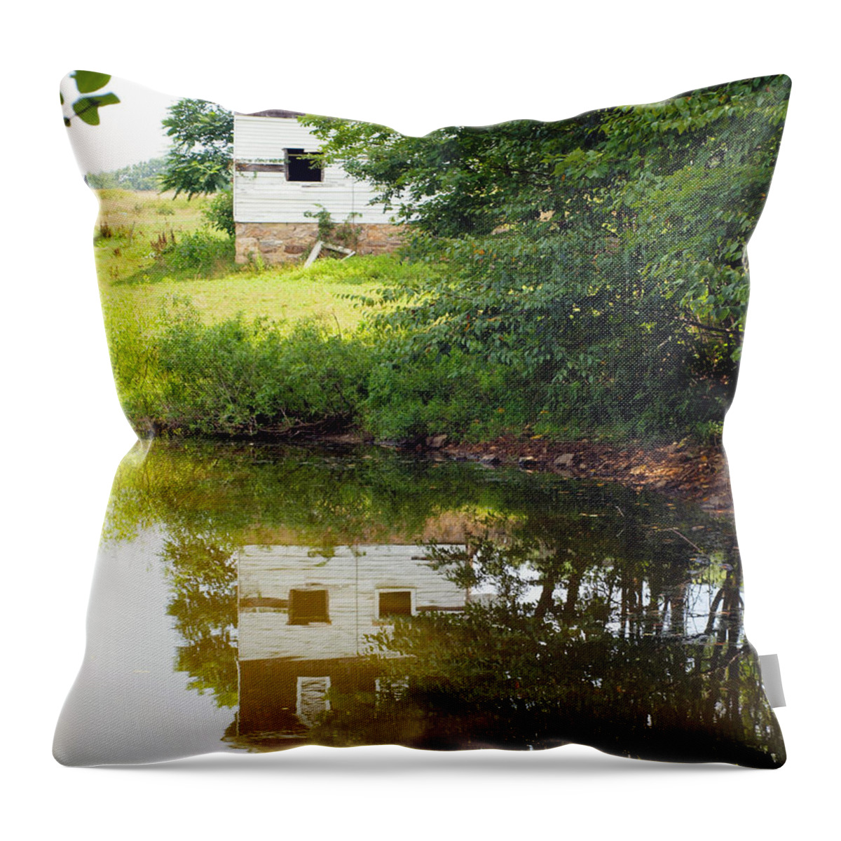 Farm Animals Throw Pillow featuring the photograph Water Reflections by Robert Margetts
