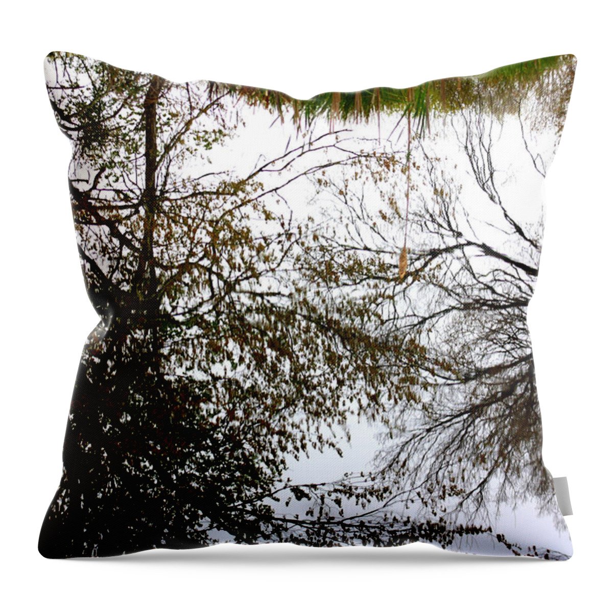 Tree Reflections Throw Pillow featuring the photograph Water Reflects the Beauty by Kim Galluzzo