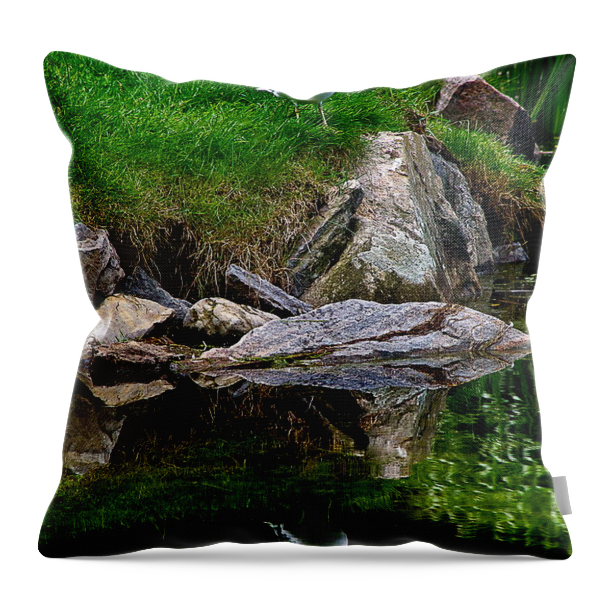 Bird Throw Pillow featuring the photograph Water Wings by Burney Lieberman