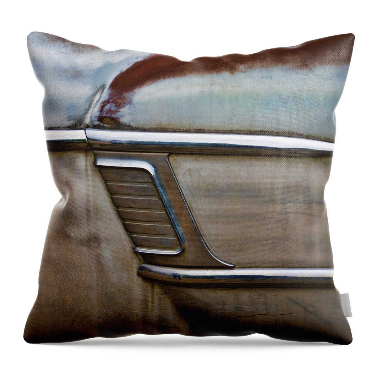 Vintage Throw Pillow featuring the photograph Weathered But Still Cool by Carol Leigh