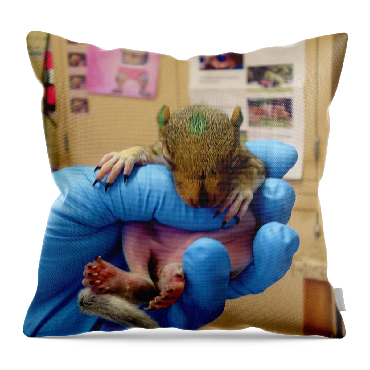 Baby Throw Pillow featuring the photograph Wee One by Art Dingo