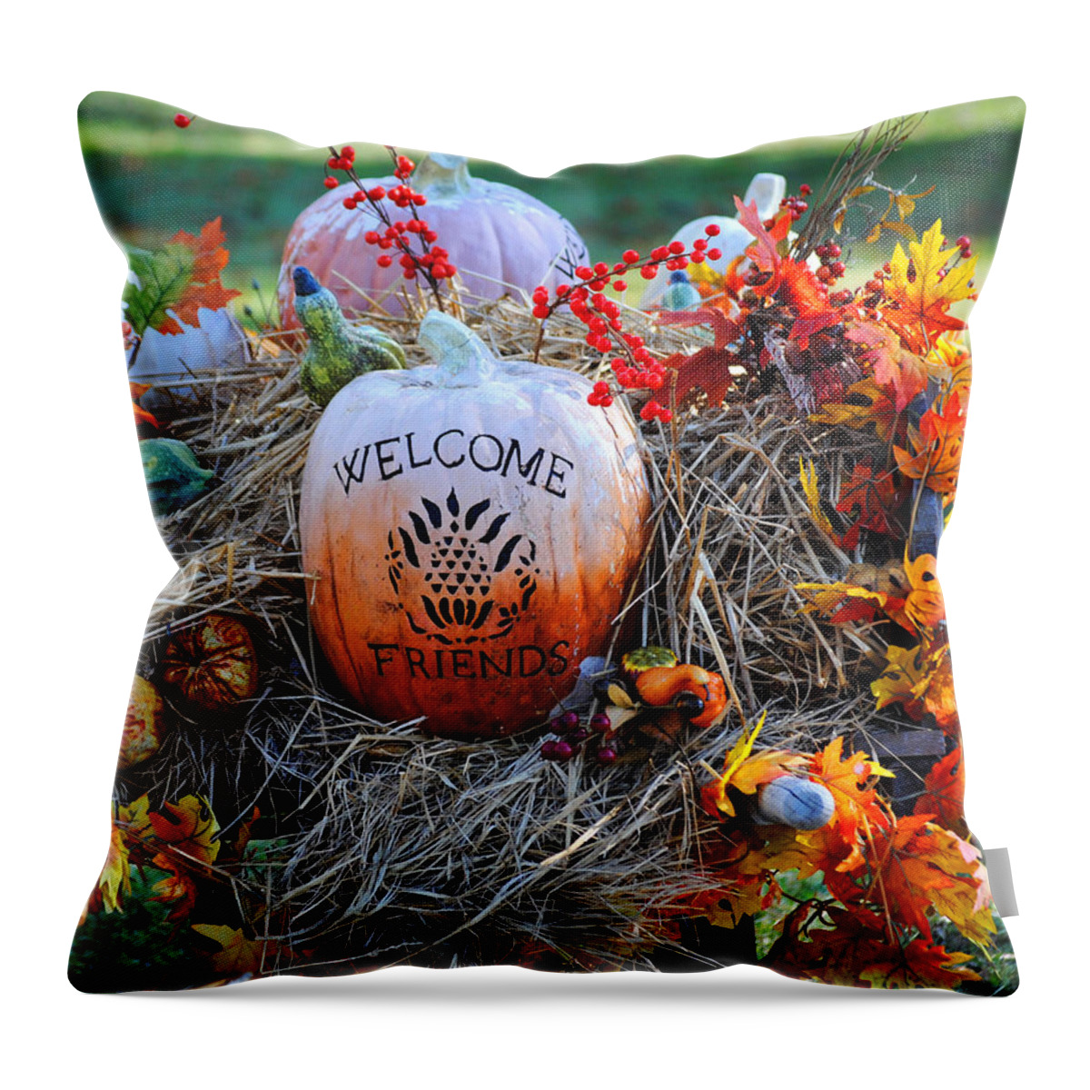 Autumn Throw Pillow featuring the photograph Welcome Friends by Jai Johnson
