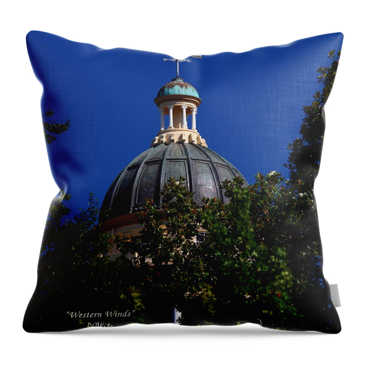 Western Winds Throw Pillow featuring the photograph Western Winds by Patrick Witz