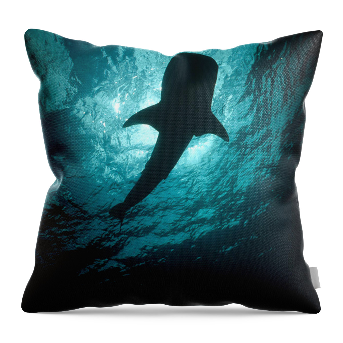 00106485 Throw Pillow featuring the photograph Whale Shark Silhouette Cocos Island by Flip Nicklin