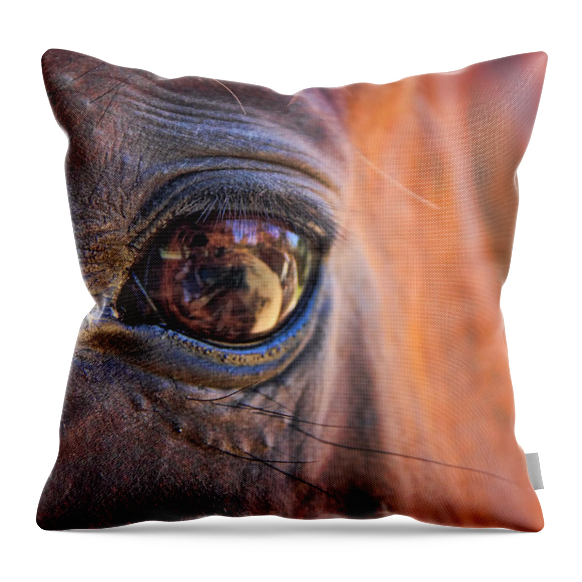 What Are You Looking At Throw Pillow featuring the photograph What are you looking at? by Mariola Bitner