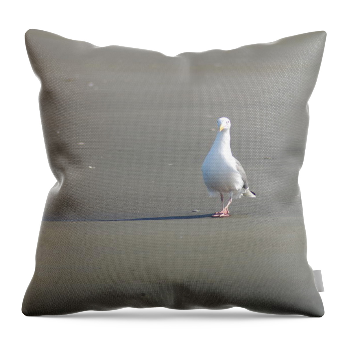 Gull Throw Pillow featuring the photograph What Are You Looking At by Michael Merry