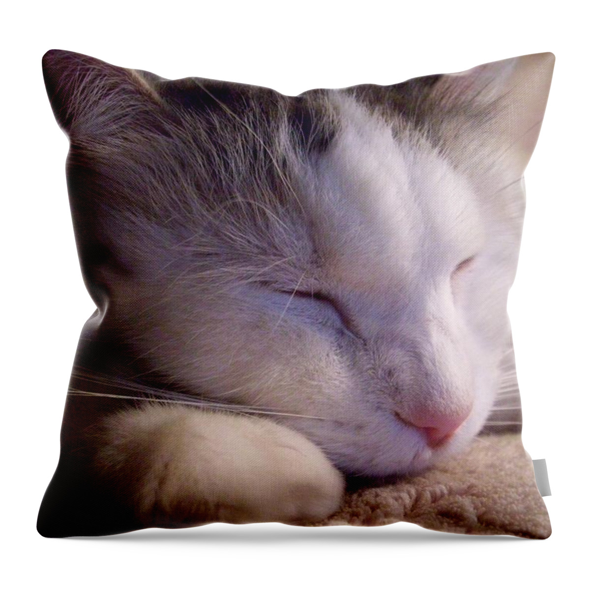 Cat Throw Pillow featuring the photograph What Is A Cat by Ginny Schmidt