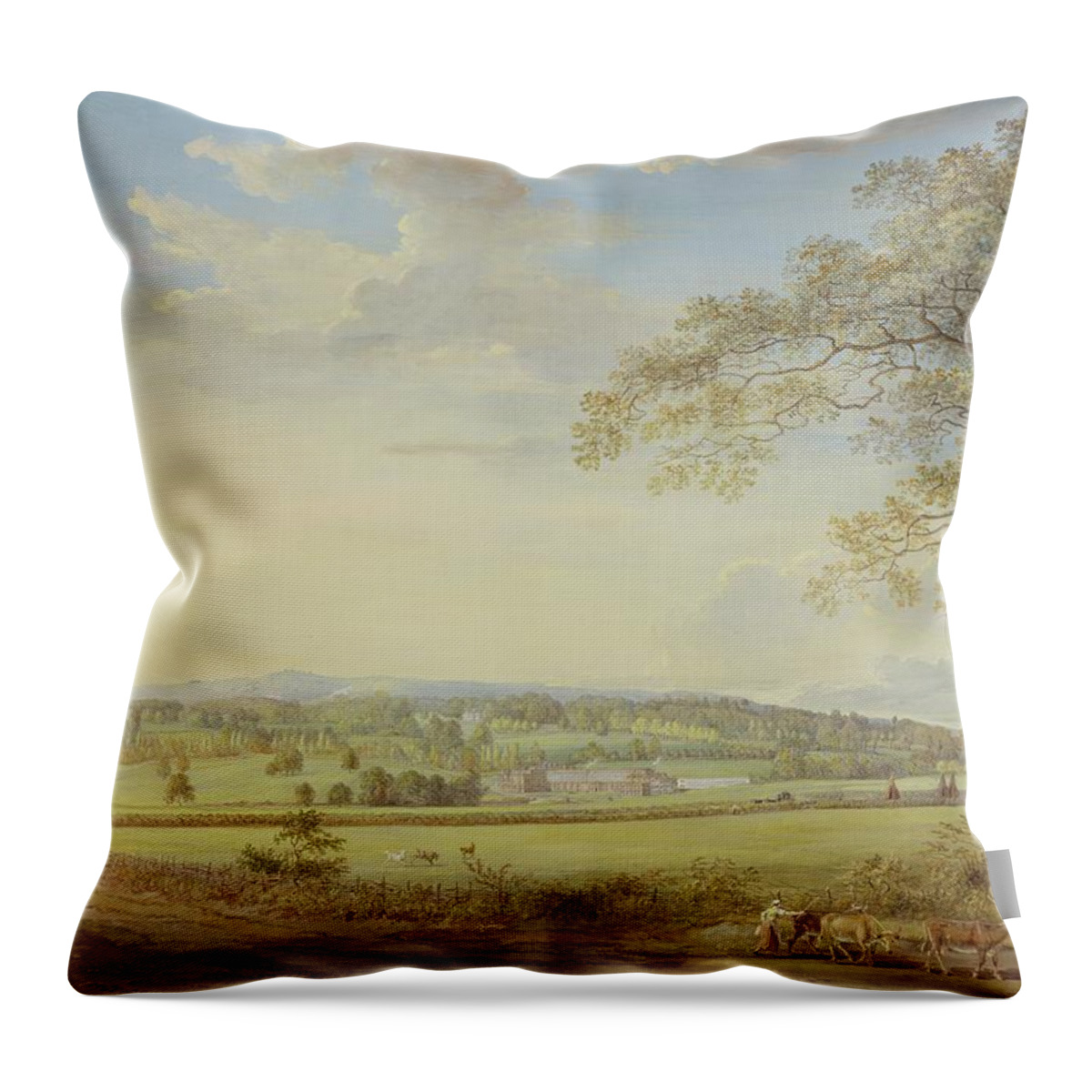 Whatman Throw Pillow featuring the painting Whatman Turkey Mill in Kent by Paul Sandby
