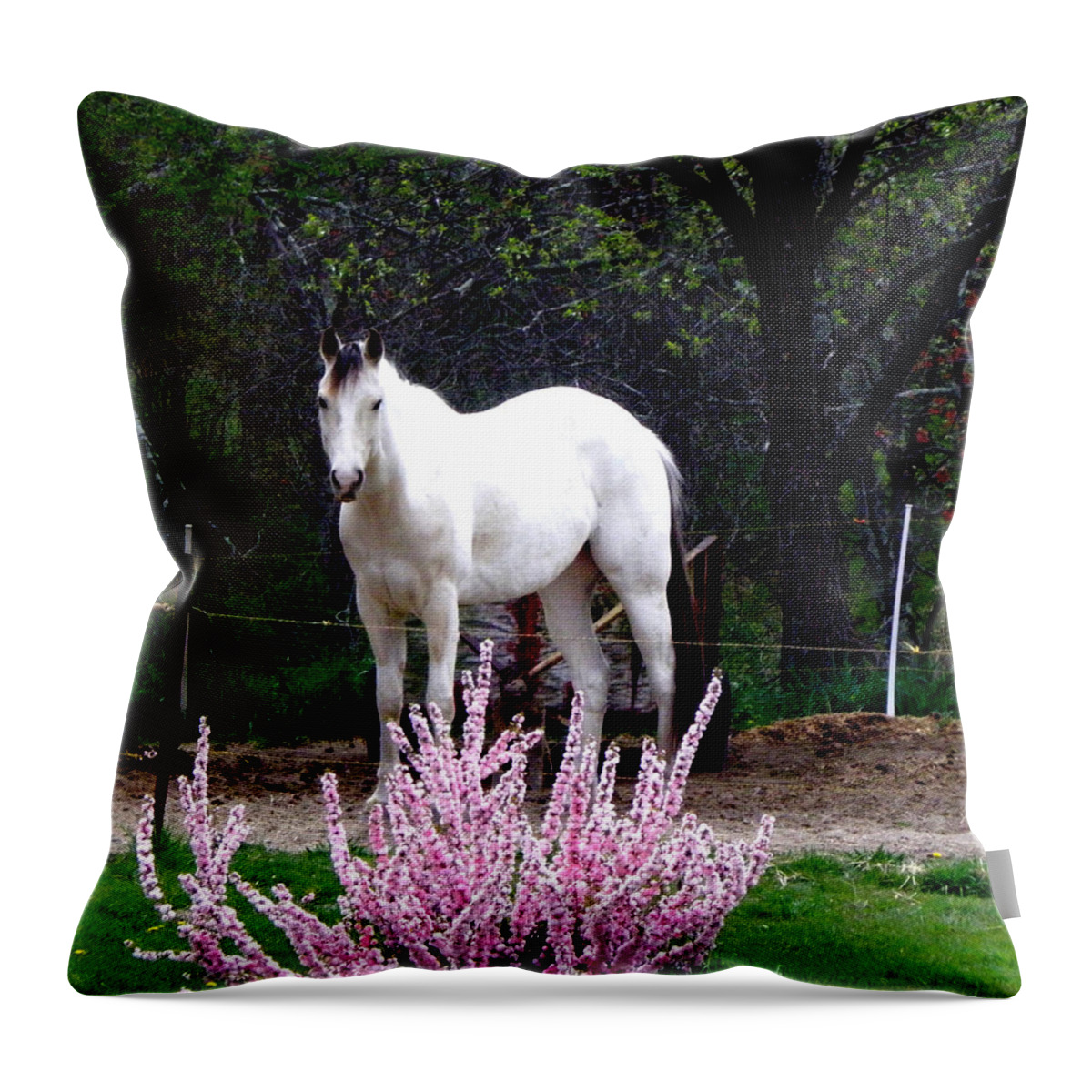 White Horse Throw Pillow featuring the photograph White Beauty beyond pink by Kim Galluzzo