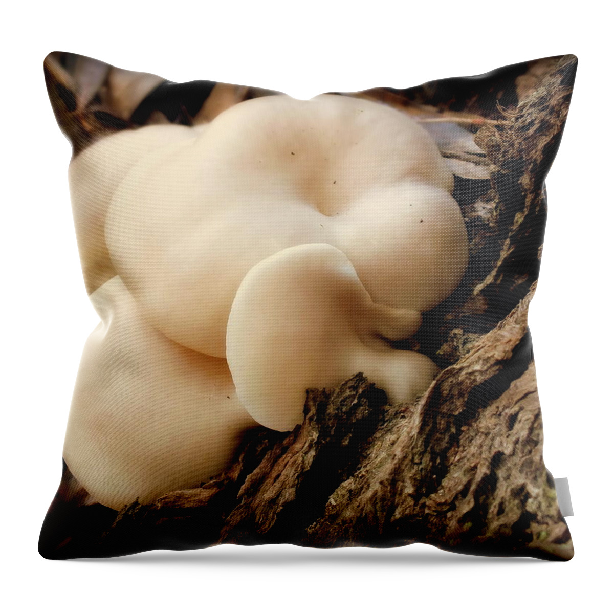 Mushrooms Throw Pillow featuring the photograph White Cloud Mushrooms by Karen Wiles