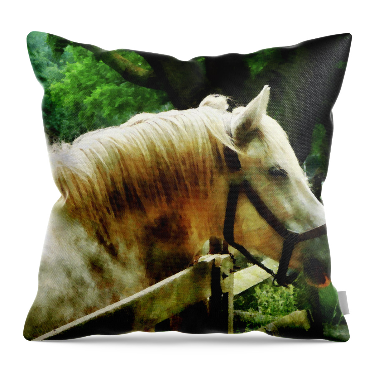 Horse Throw Pillow featuring the photograph White Horse Closeup by Susan Savad