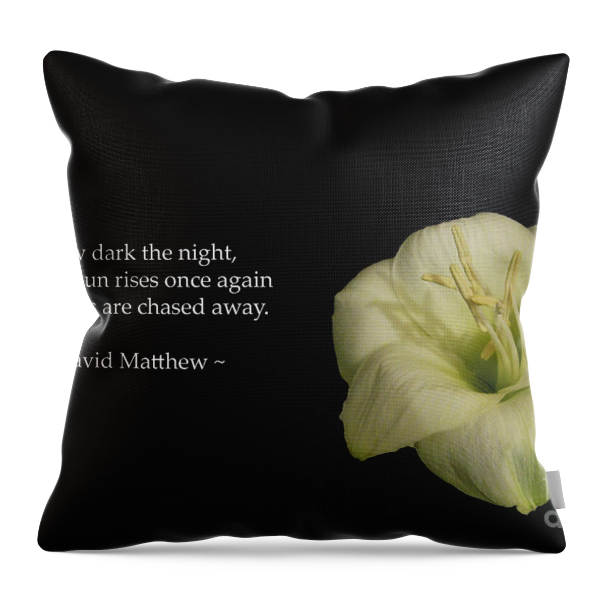 Inspirational Throw Pillow featuring the photograph White Lily In The Dark Inspirational by Ausra Huntington nee Paulauskaite