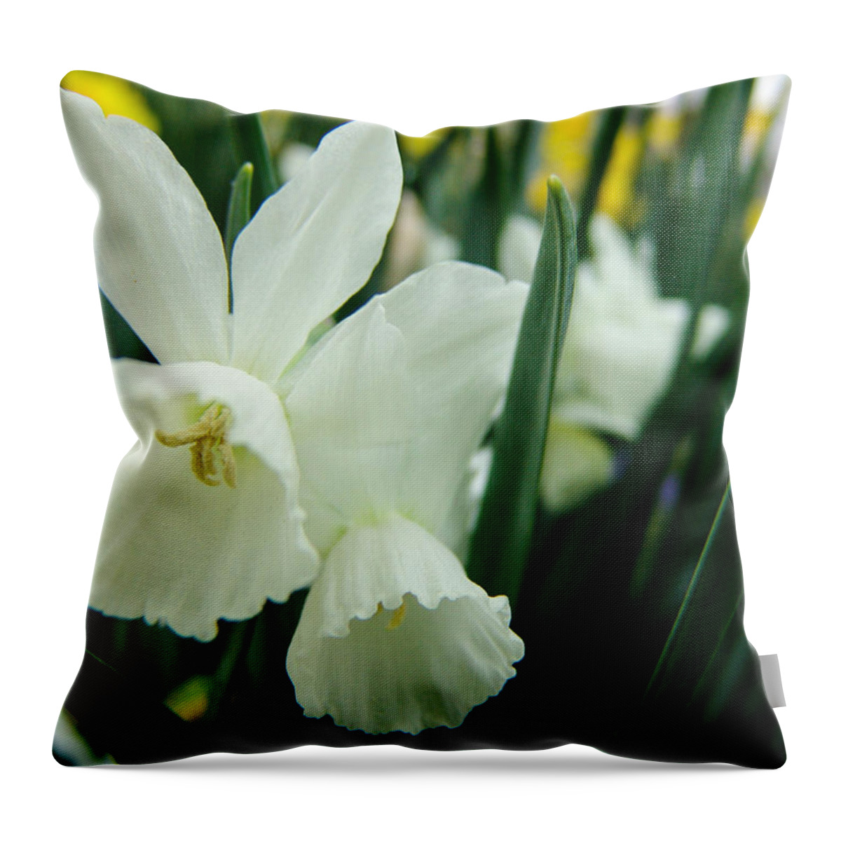 White Throw Pillow featuring the photograph White Petals by Al Griffin
