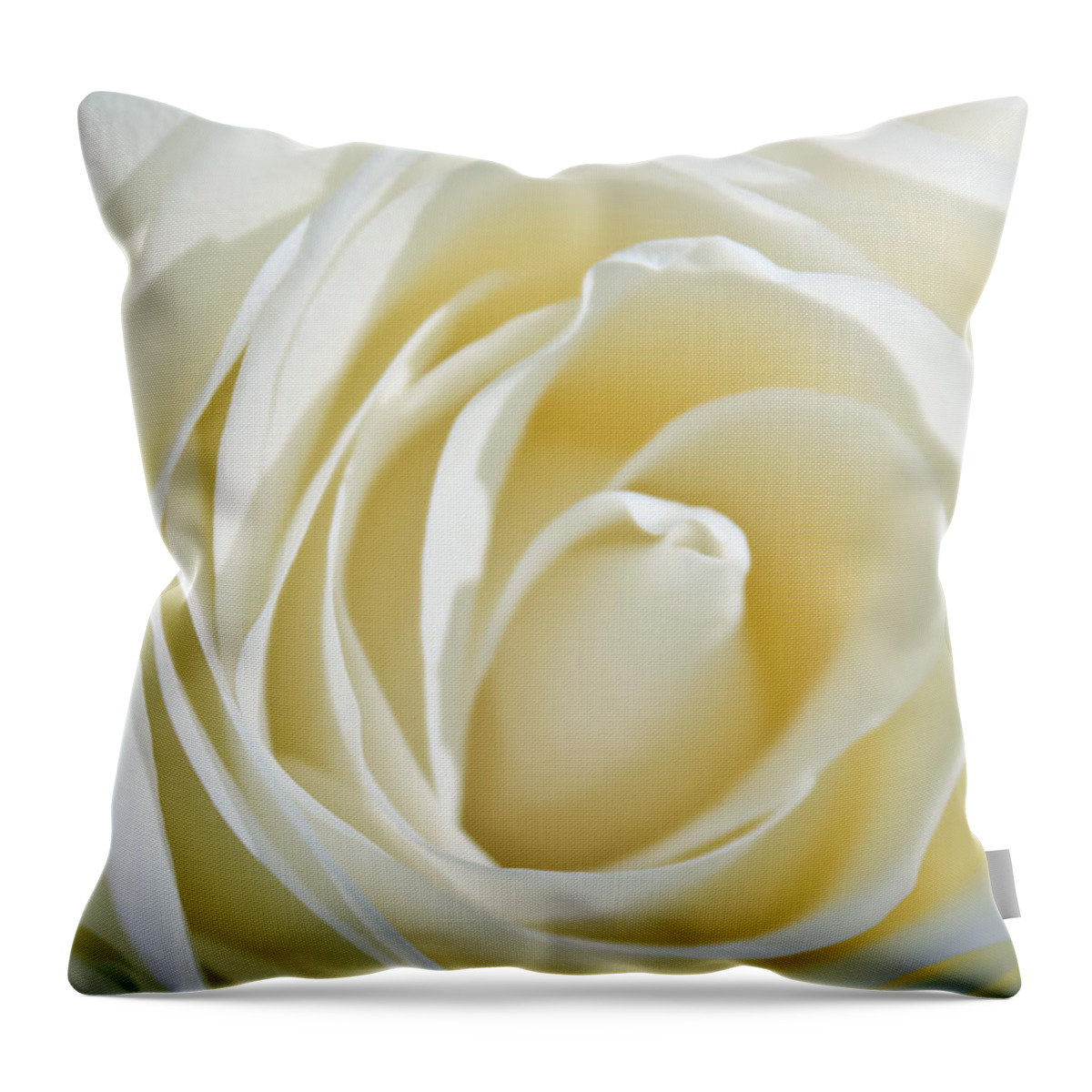 White Rose Throw Pillow featuring the photograph White Rose by Ann Murphy
