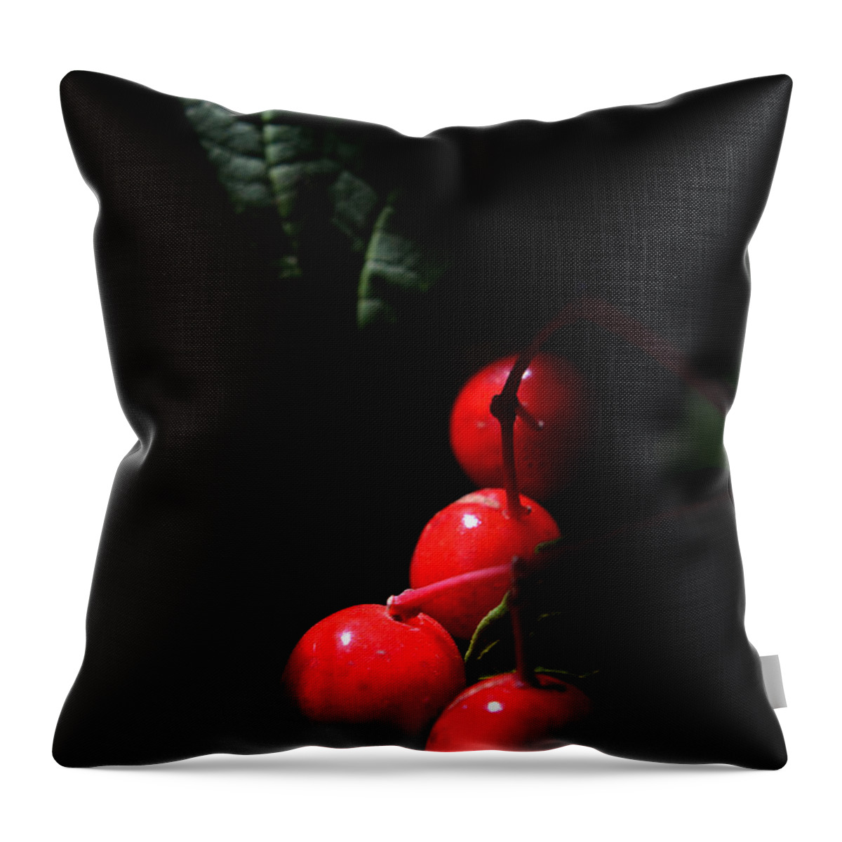 Nature Throw Pillow featuring the photograph Wild Berries In Soft Light by Steve Somerville