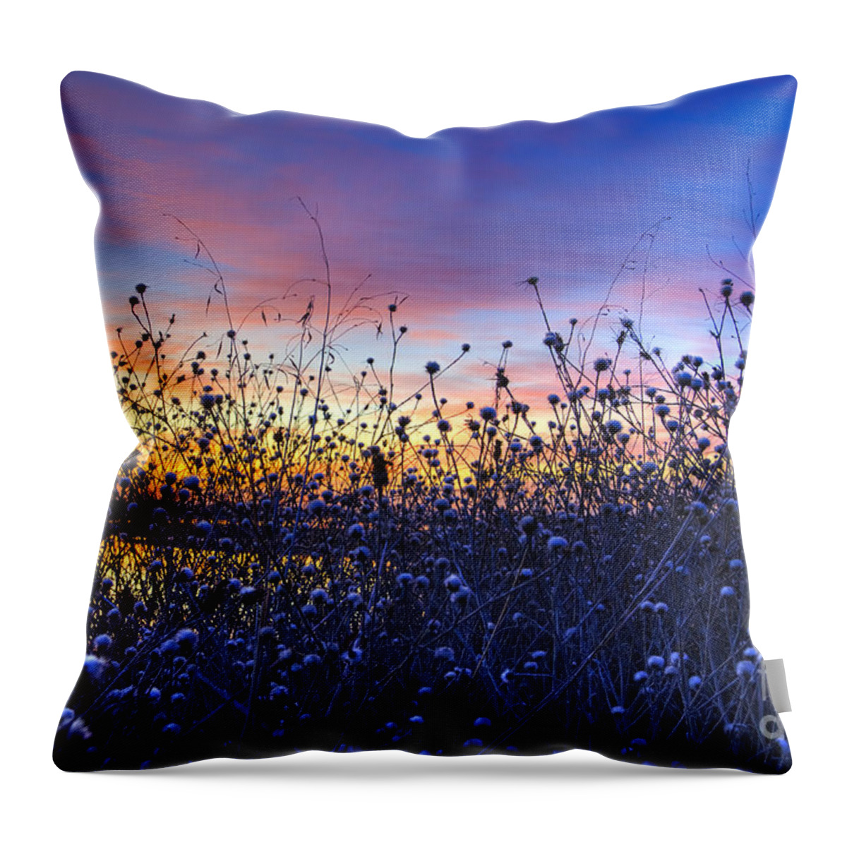 Sunset Throw Pillow featuring the photograph Wild Sunset by Jim And Emily Bush