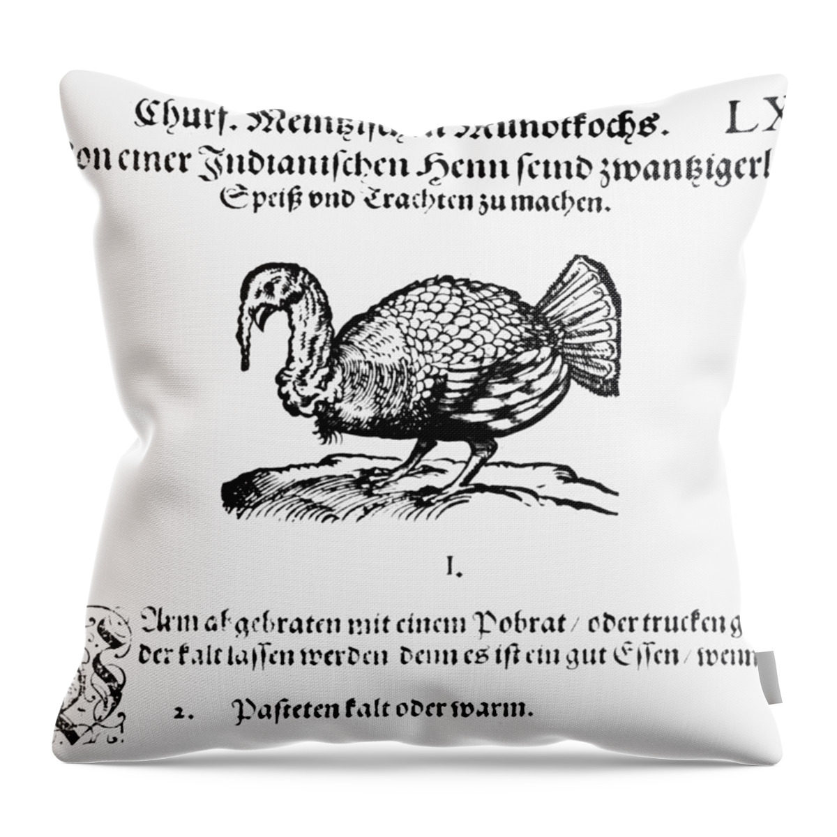 1604 Throw Pillow featuring the photograph Wild Turkey, 1604 by Granger