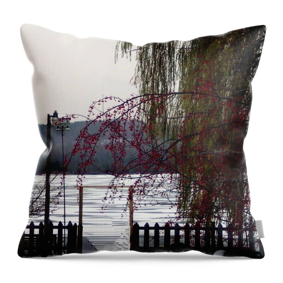Winter Throw Pillow featuring the photograph Willows and Berries in Winter by Desiree Paquette