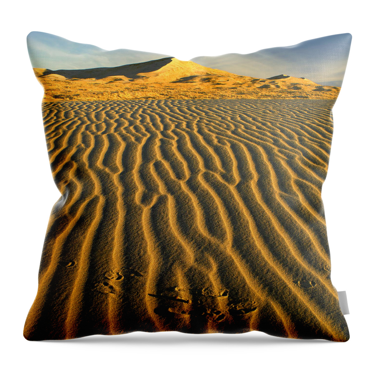 00175530 Throw Pillow featuring the photograph Wind Ripples In Kelso Dunes Mojave by Tim Fitzharris