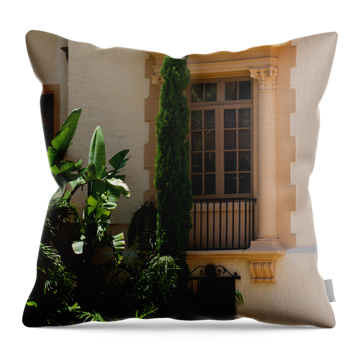 Biltmore Throw Pillow featuring the photograph Window at the Biltmore by Ed Gleichman