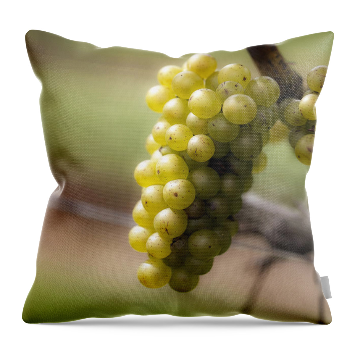 Grapes Throw Pillow featuring the photograph Wine Grapes by Leslie Leda