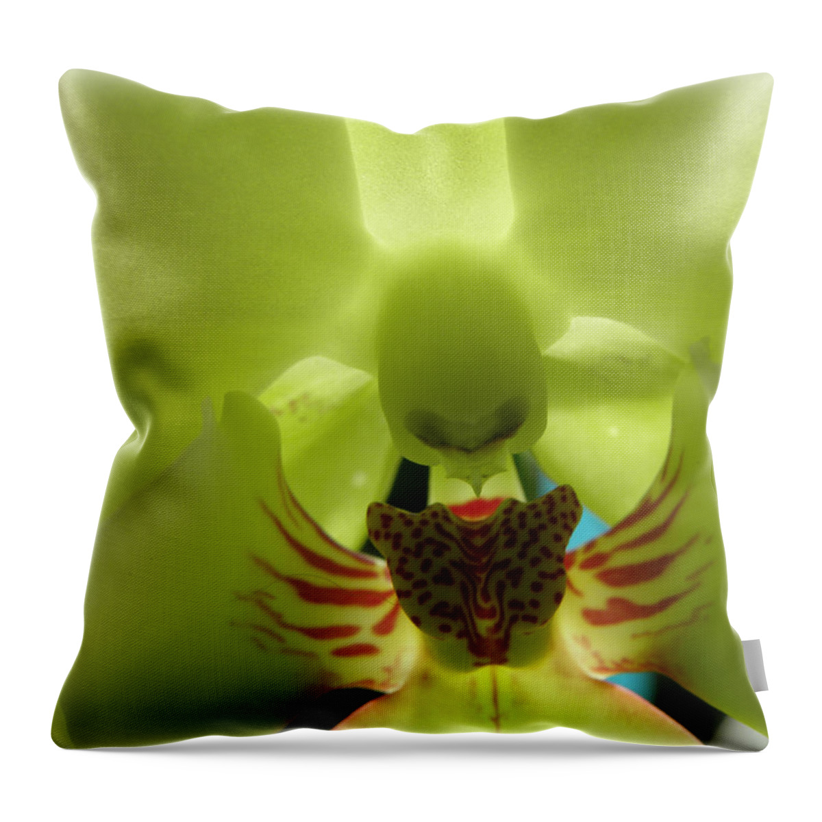 Orchid Throw Pillow featuring the photograph Winged Orchid by Kim Galluzzo