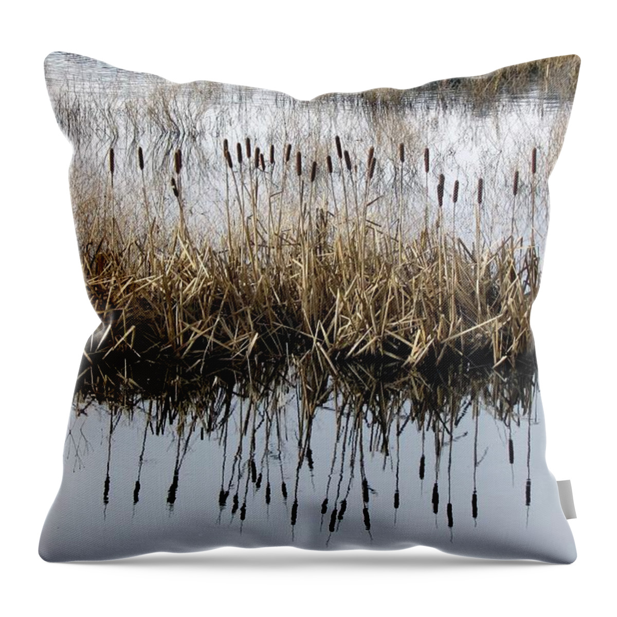 Cattails Throw Pillow featuring the photograph Winter bouquet by I'ina Van Lawick