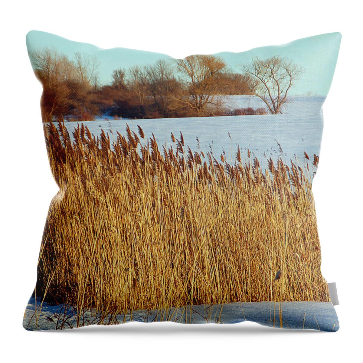Landscape Throw Pillow featuring the photograph Winter Breeze by Aimee L Maher ALM GALLERY