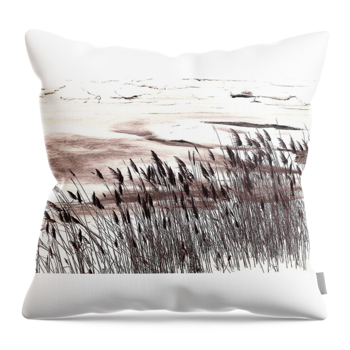 Winter Throw Pillow featuring the photograph Winter Grasses by Jeff Heimlich