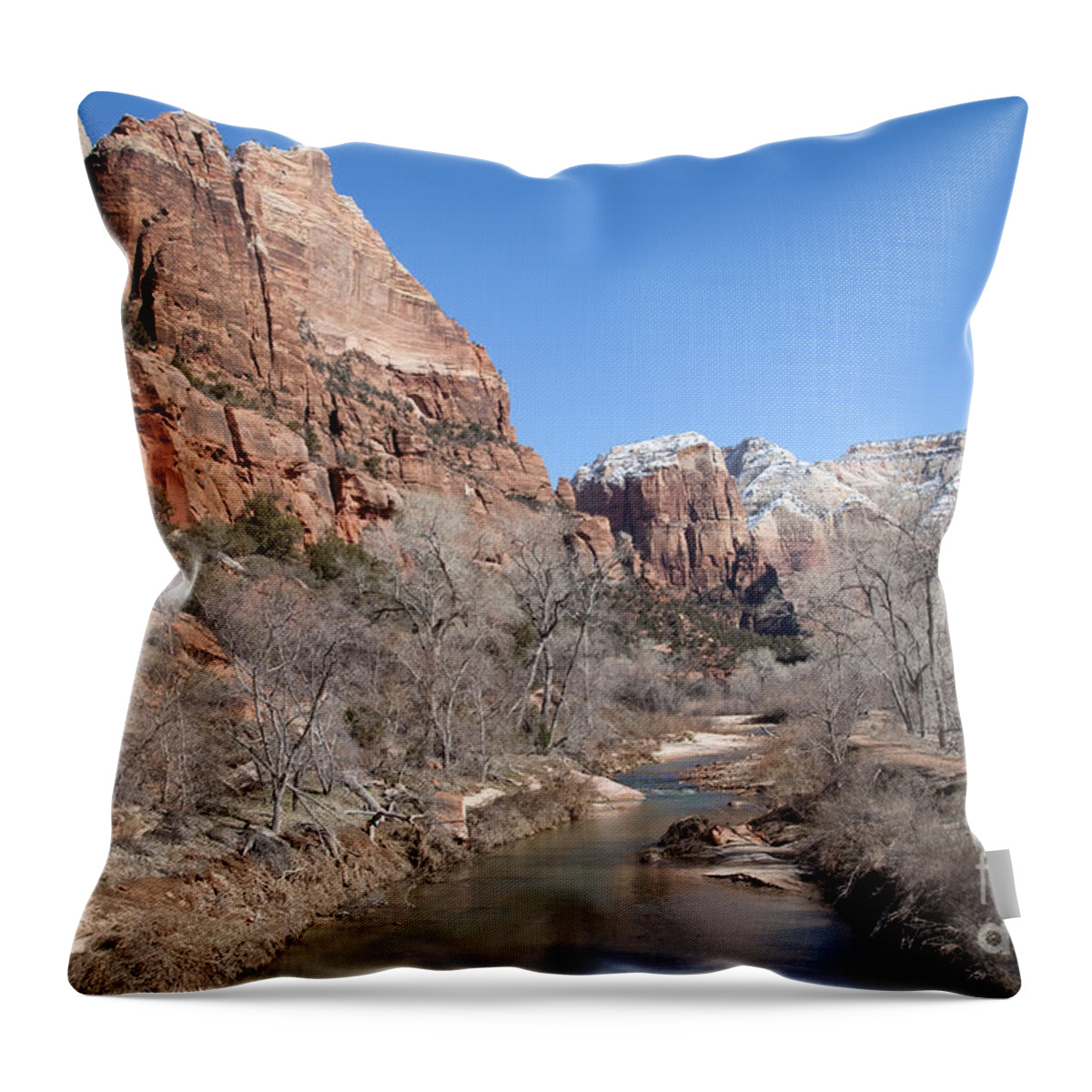 Landscape Throw Pillow featuring the photograph Winter in Zion by Bob and Nancy Kendrick