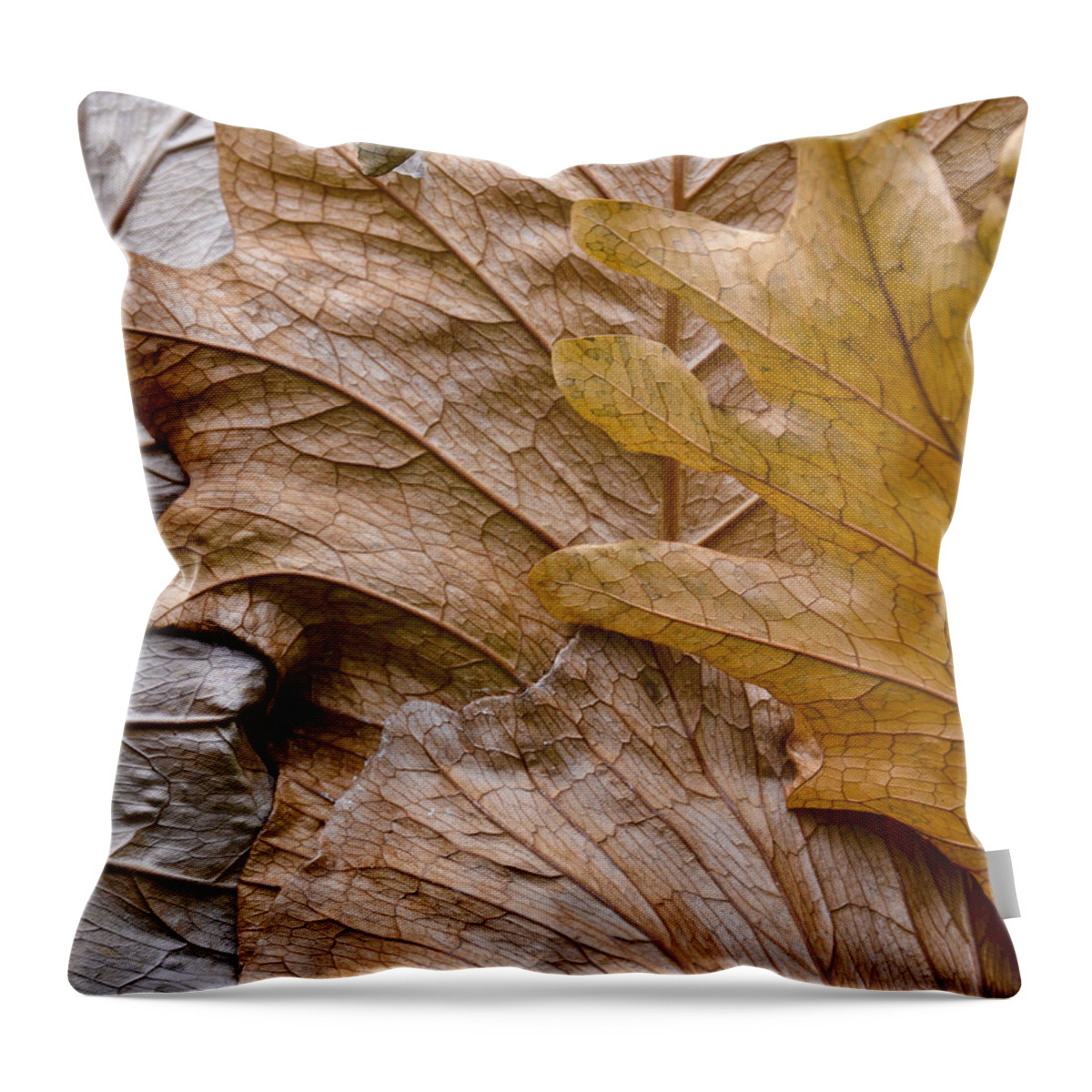 Botanical Throw Pillow featuring the photograph Autumn Leaves of Gold by Carolyn Marshall