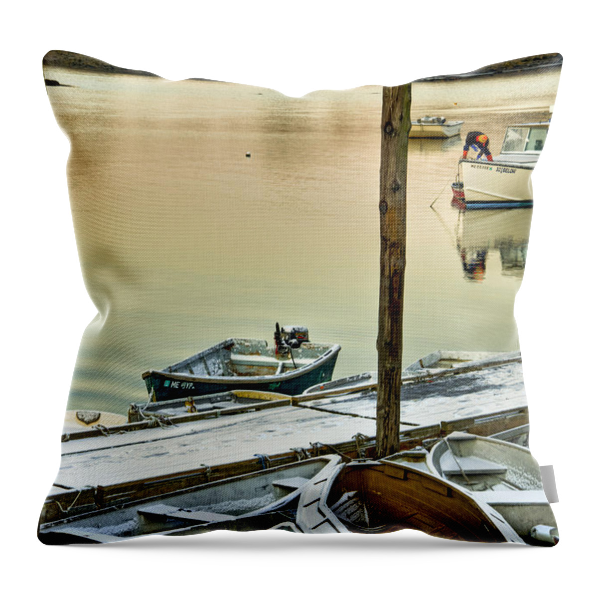 Harbor Throw Pillow featuring the photograph Winter Morning by Brenda Giasson
