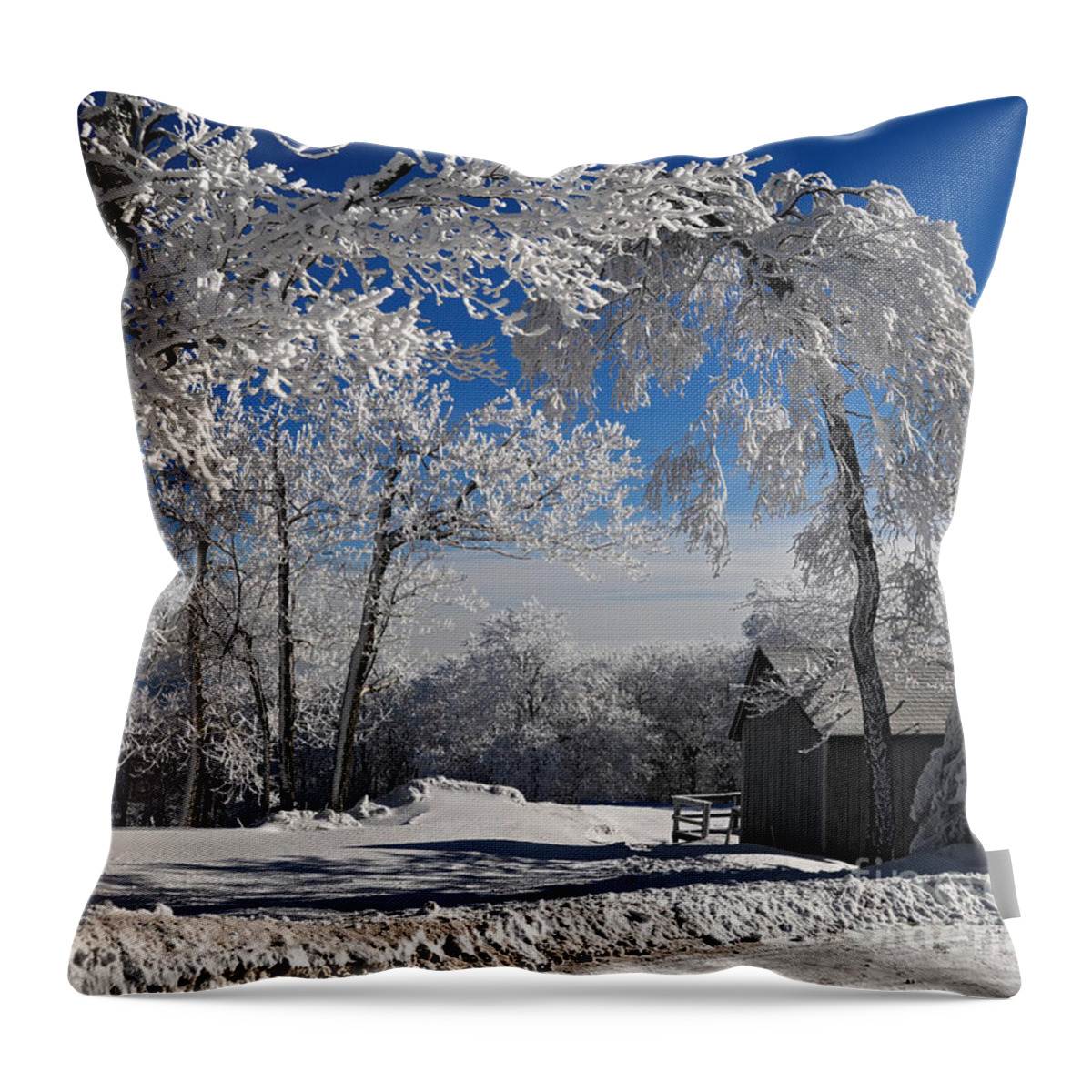 Winter Morning Throw Pillow featuring the photograph Winter Morning by Lois Bryan
