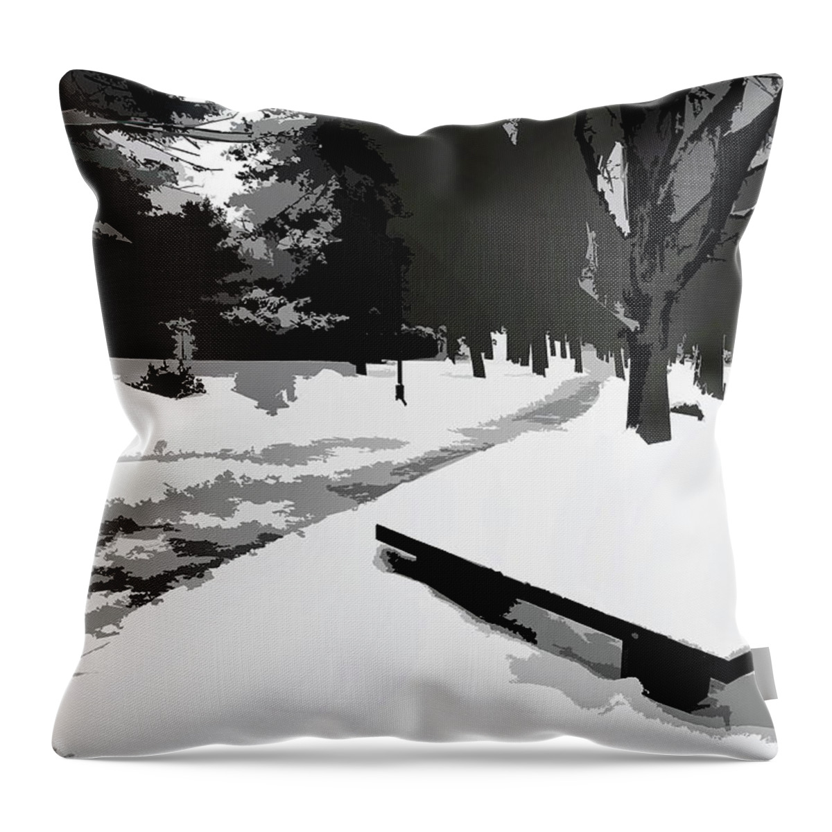 Park In Winter Throw Pillow featuring the photograph Winter Park by Burney Lieberman