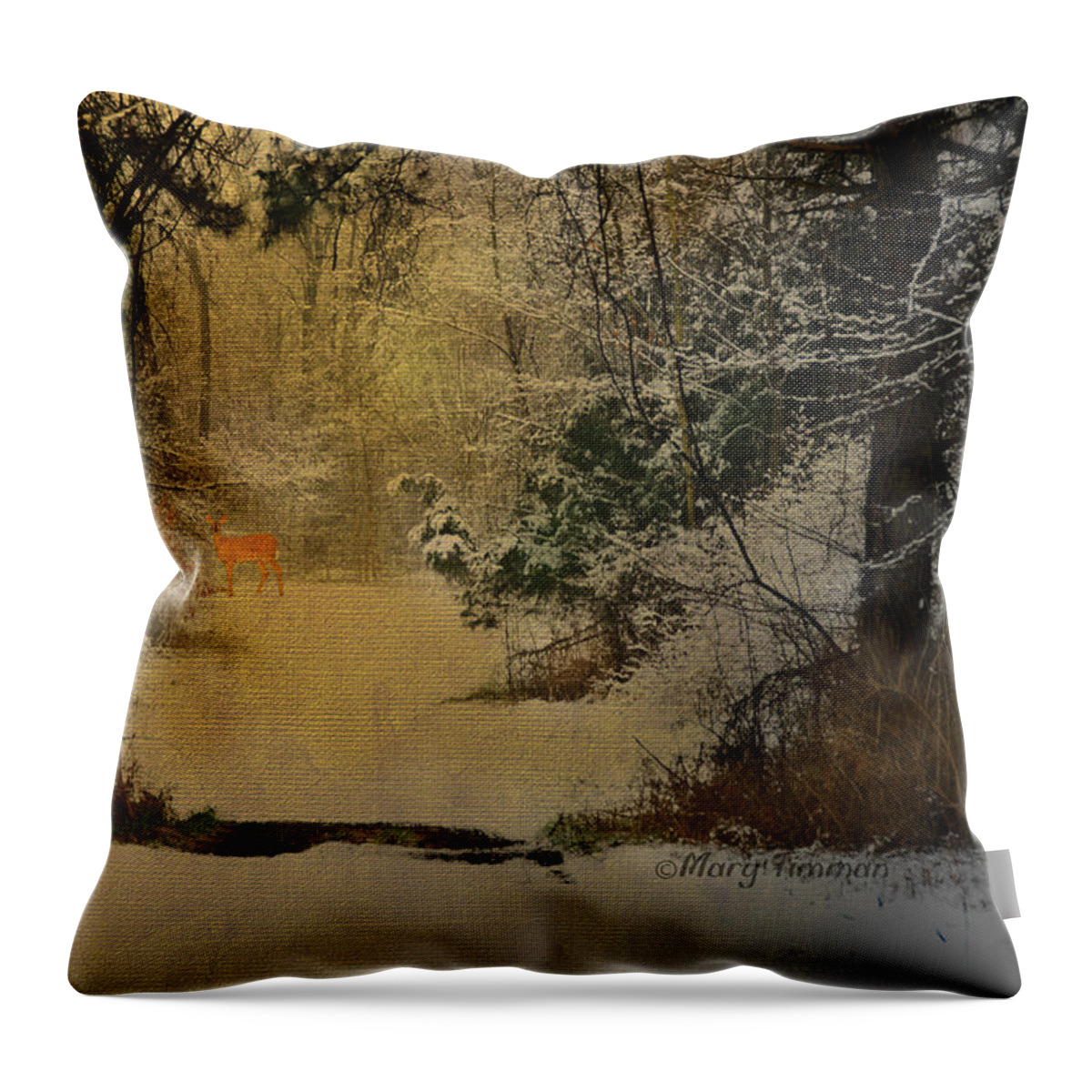 Forest Throw Pillow featuring the photograph Winter Path by Mary Timman