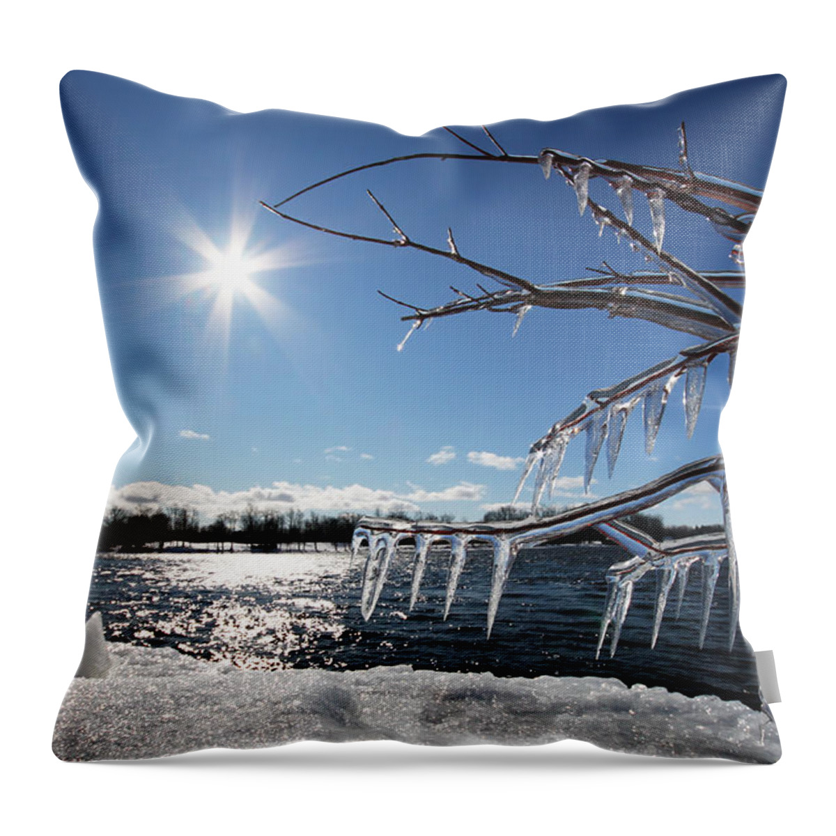 Winter Throw Pillow featuring the photograph Winter Tale by Mircea Costina Photography