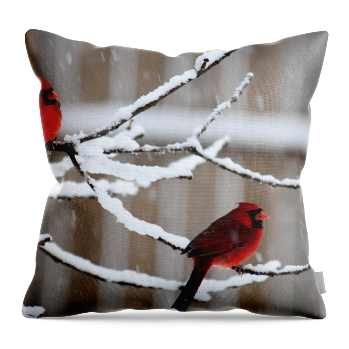 Birds Throw Pillow featuring the photograph Christmas Tree Ornaments by Wanda Brandon