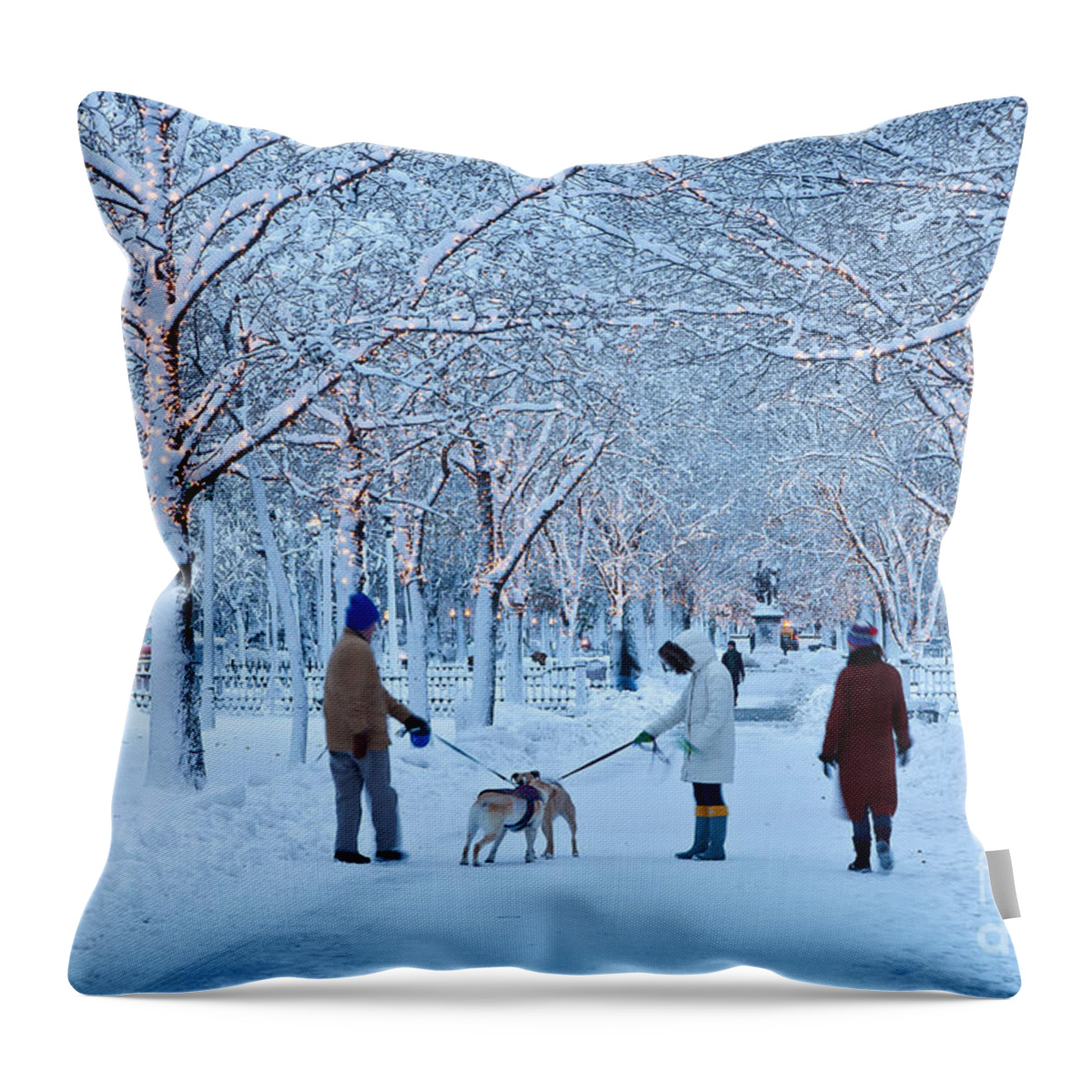 Back Bay Throw Pillow featuring the photograph Winter Twilight Walk by Susan Cole Kelly