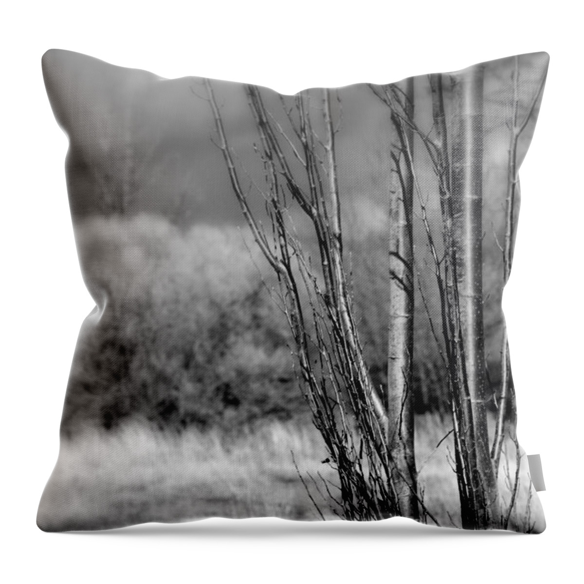 Landscape Throw Pillow featuring the photograph Winters Branch by Kathleen Grace