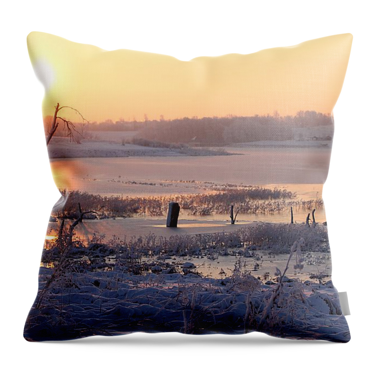 Lake Zorinksy Throw Pillow featuring the photograph Winter's Morning by Elizabeth Winter